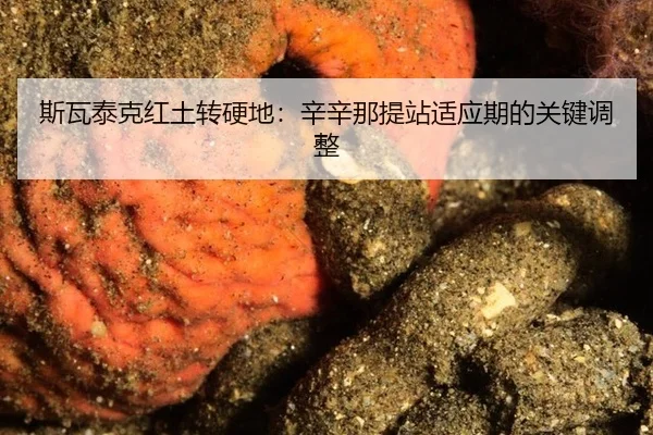 si-wa-tai-ke-hong-tu-zhuan-ying-di-xin-xin-na-ti-zhan-shi-ying-qi-de-guan-jian-tiao-zheng-3-215.jpg