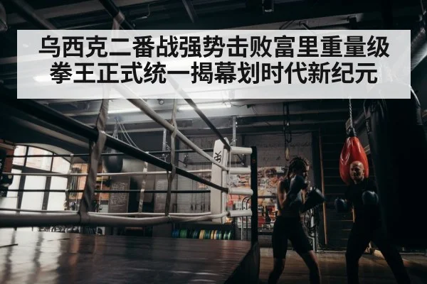 boxer training